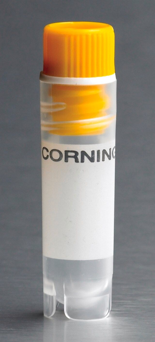 Corning<sup>?</sup> cryogenic vial with washer