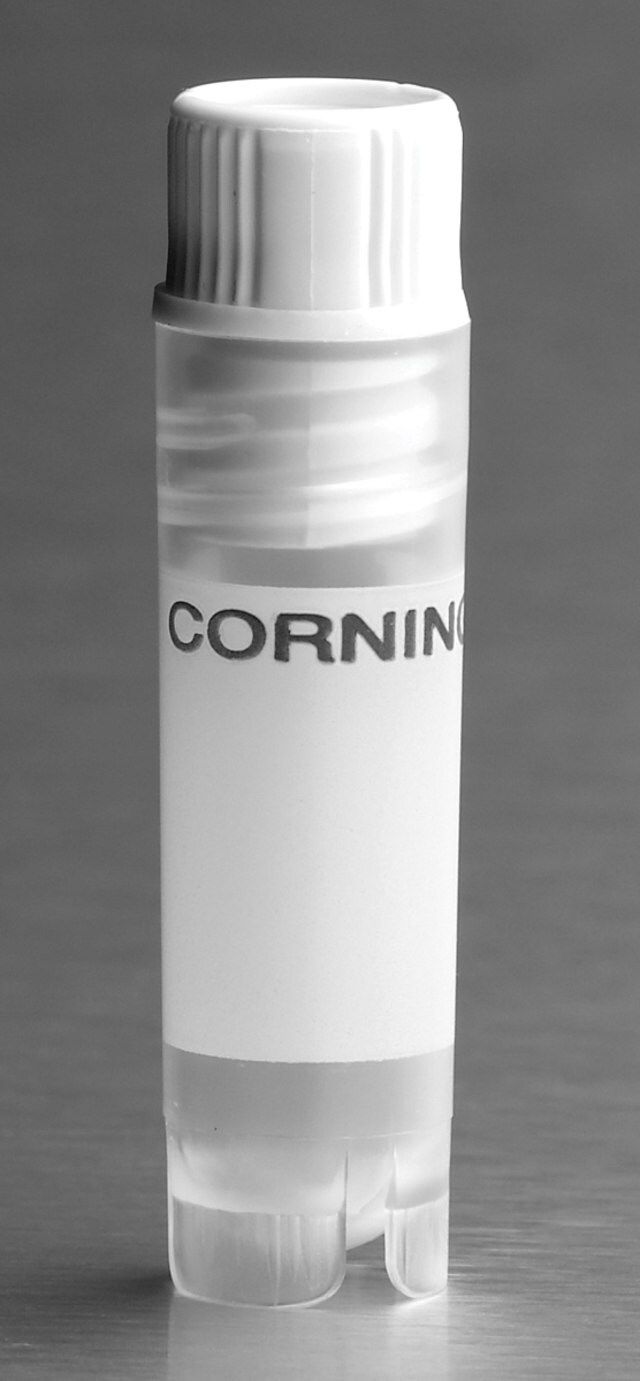 Corning<sup>?</sup> cryogenic vial with washer