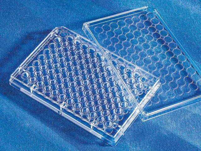 Corning<sup>?</sup> 96 Well EIA/RIA Assay Microplate