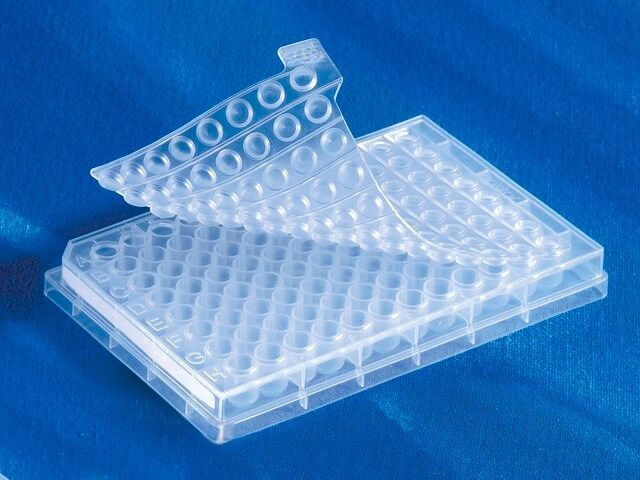 Corning <sup>?</sup> 96 Well Microplate Storage Mat