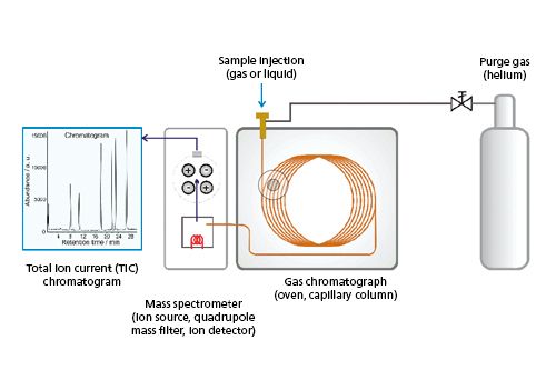 Gas-From-TG/STA