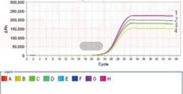 ѪҮɭϾailӫPCR(̽뷨)ԼͼƬ