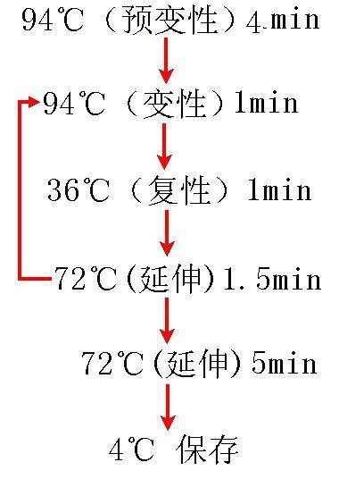 Ѫ˾(HPS)ԼͼƬ