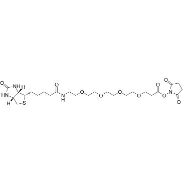 Biotin-PEG4-NHS esterͼƬ