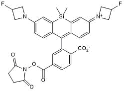 Janelia Fluor 635,SEͼƬ