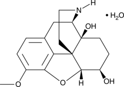 nor-6-Oxycodol(hydrate)ͼƬ