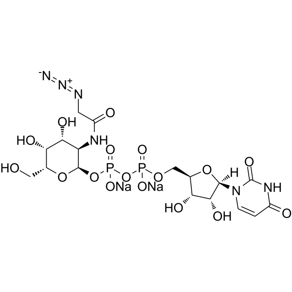 UDP-GalNAz disodiumͼƬ