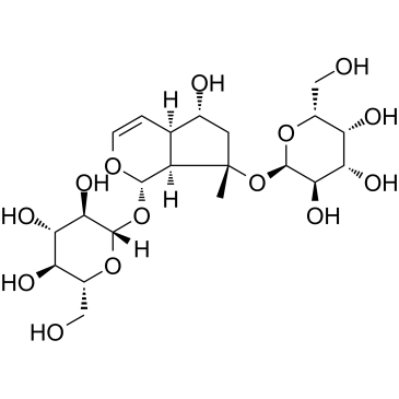 Rehmannioside CͼƬ