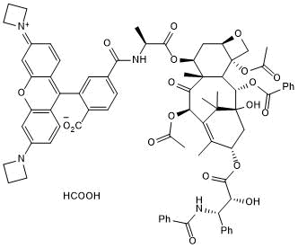 Taxol Janelia Fluor ? 549ͼƬ