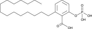 Phospho-Ginkgolic AcidͼƬ