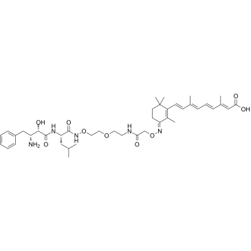 PROTAC CRABP-II Degrader-1ͼƬ