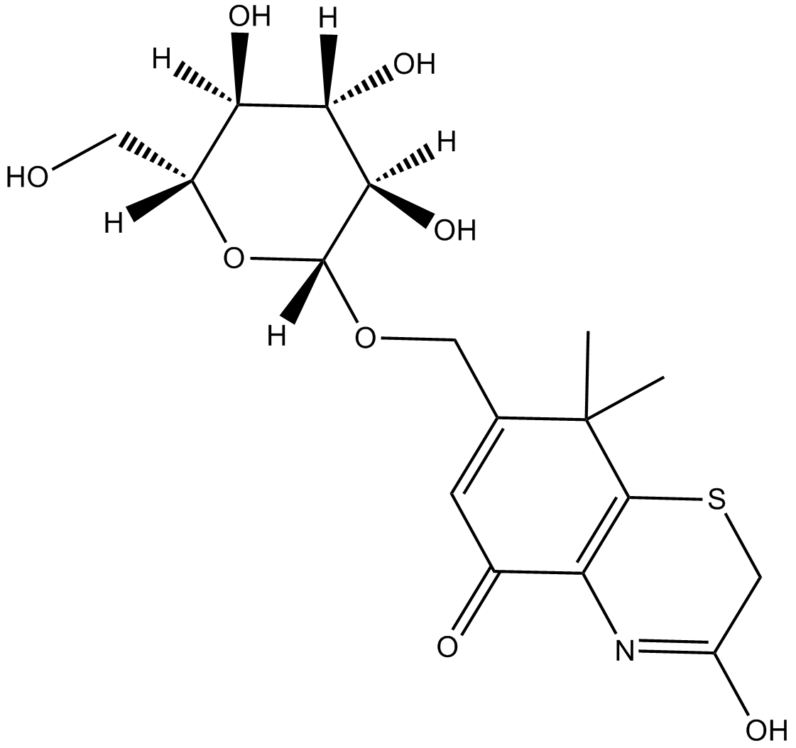 XanthisideͼƬ