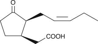 ()7-epi Jasmonic AcidͼƬ