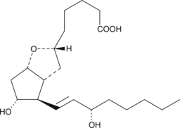 6-Prostaglandin I1ͼƬ