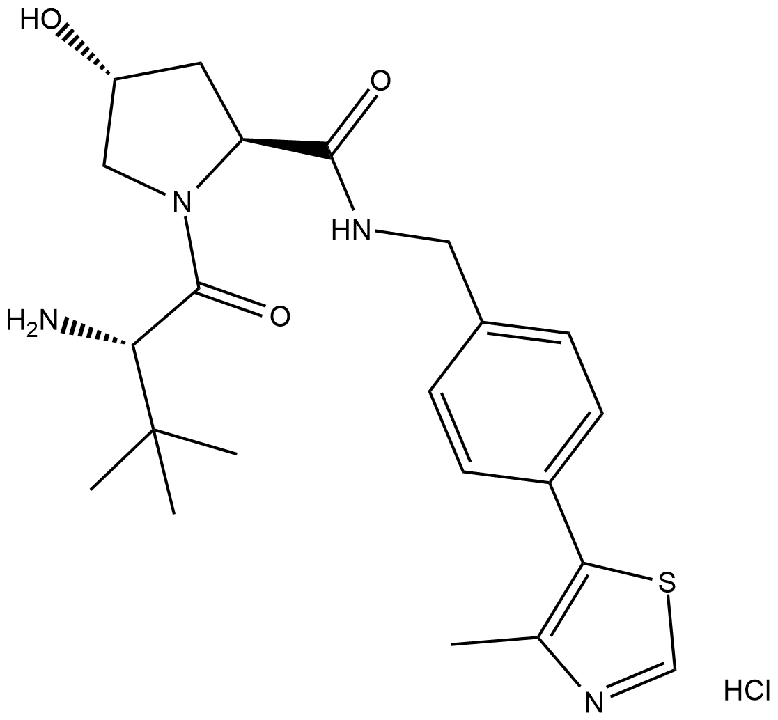 Protein degrader 1 hydrochlorideͼƬ