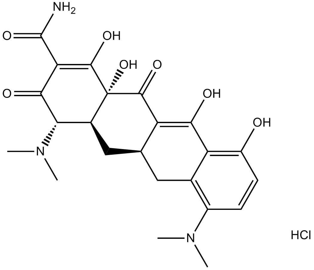 Minocycline HClͼƬ