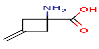 1-amino-3-methylidenecyclobutane-1-carboxylicacidͼƬ