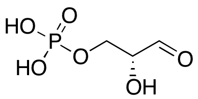 D-Glyceraldehyde 3-Phosphate,(10mg/mL solution in water)ͼƬ