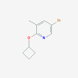 5-Bromo-2-cyclobutoxy-3-methylpyridineͼƬ