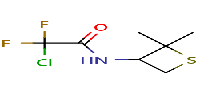 2-chloro-N-(2,2-dimethylthietan-3-yl)-2,2-difluoroacetamideͼƬ