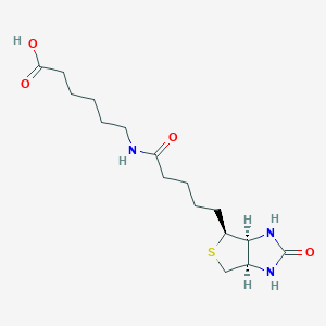 6-ذͼƬ