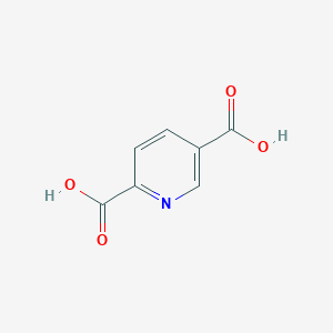 2,5-Pyridinedicarboxylic Acid-13C7ͼƬ