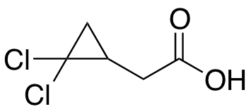 2-(2,2-dichlorocyclopropyl)acetic acidͼƬ