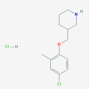 4-Chloro-2-methylphenyl 3-piperidinylmethyl etherhydrochlorideͼƬ