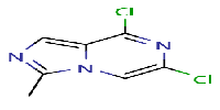 6,8-dichloro-3-methylimidazo[1,5-a]pyrazineͼƬ