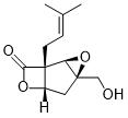 Vibralactone BͼƬ