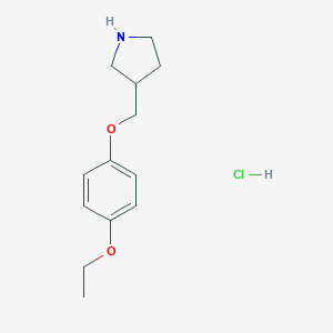 3-[(4-Ethoxyphenoxy)methyl]pyrrolidinehydrochlorideͼƬ