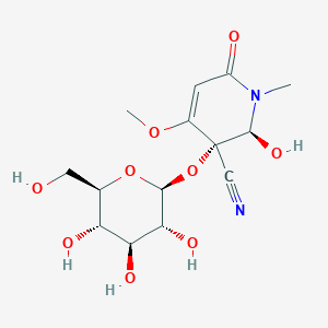 AcalyphinͼƬ