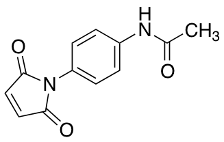 N-[4-(2,5-dioxo-2,5-dihydro-1H-pyrrol-1-yl)phenyl]acetamideͼƬ