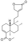 Methyl clerodermateͼƬ