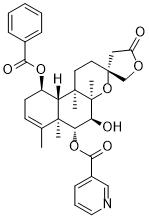 Scutebarbatine WͼƬ