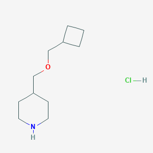 Cyclobutylmethyl 4-piperidinylmethyl etherhydrochlorideͼƬ