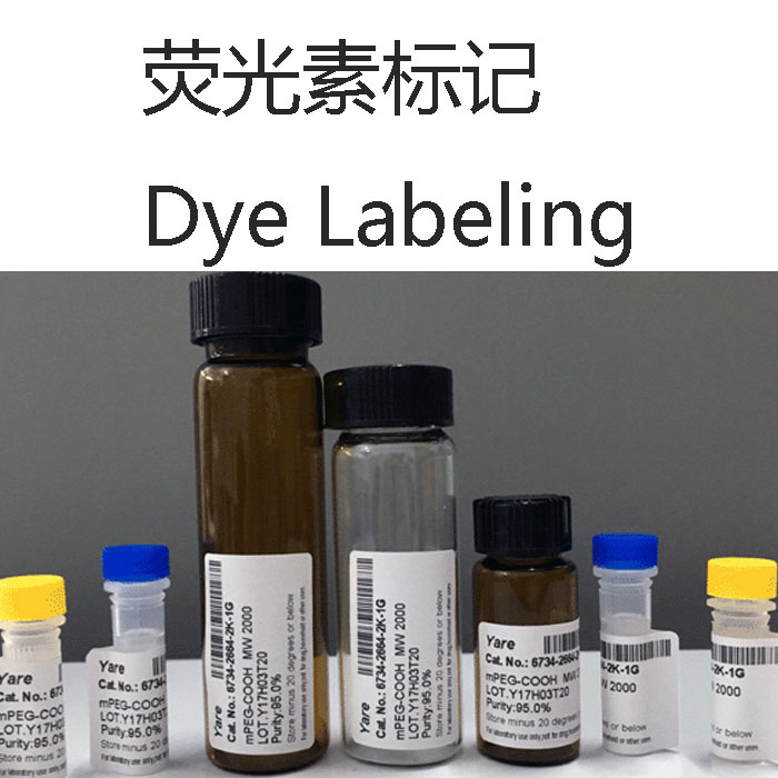 ӫرDye LabelingͼƬ