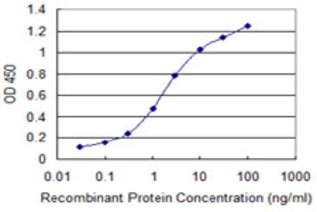 Monoclonal Anti-PMPCB antibody produced in mouse