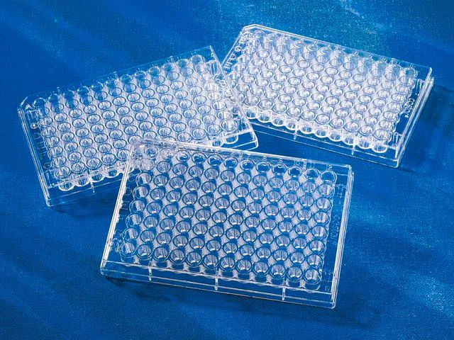 Corning<sup>?</sup> 96 Well Clear Polystyrene Microplate