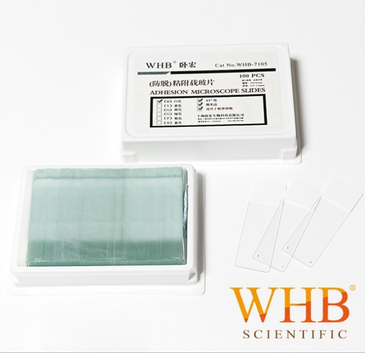 WHB-7105زƬͼƬ