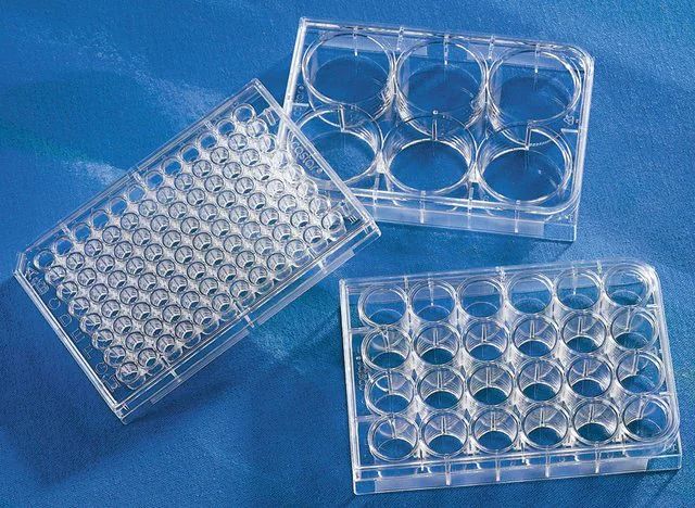 Corning<sup>?</sup> 96 Well TC-Treated Microplates