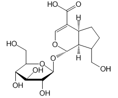 Geniposidicacid