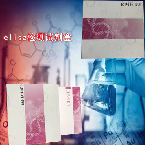 MBP antibodyʼԵ׿ELISAԼͼƬ