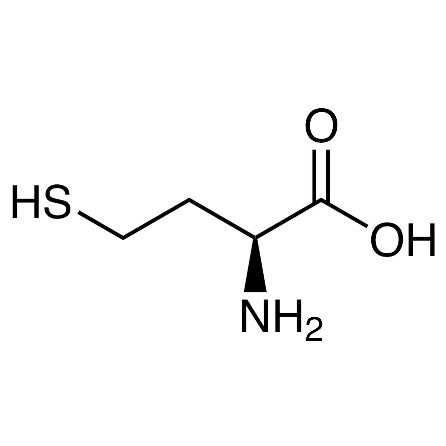 L-Homocysteine