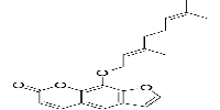 8-GeranyloxypsoralenͼƬ