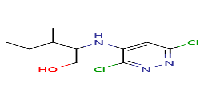 2-[(3,6-dichloropyridazin-4-yl)amino]-3-methylpentan-1-olͼƬ