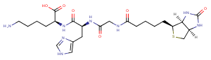 Biotinoyl tripeptide-1ͼƬ