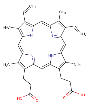 Protoporphyrin IXͼƬ