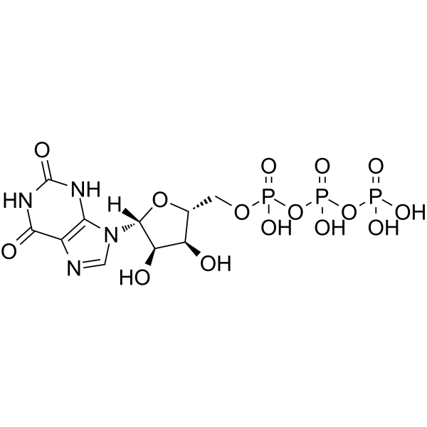 Xanthosine-5'-TriphosphateͼƬ