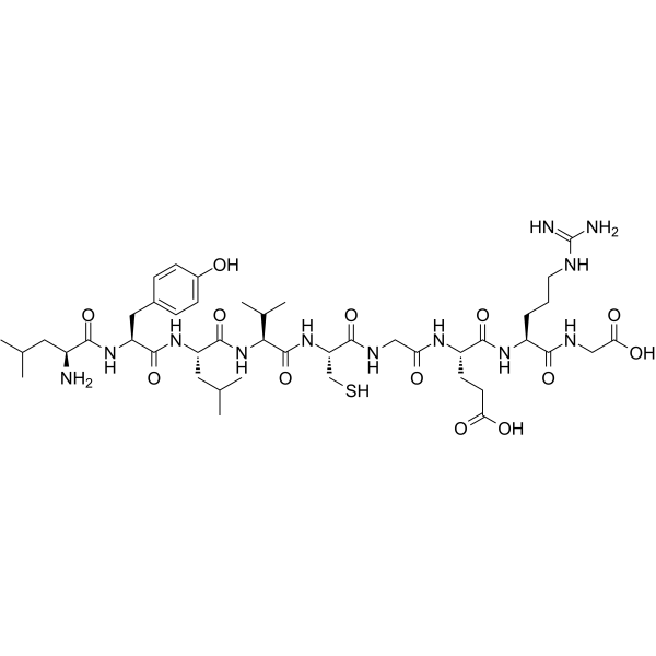 InsulinChain Peptide(15-23)ͼƬ